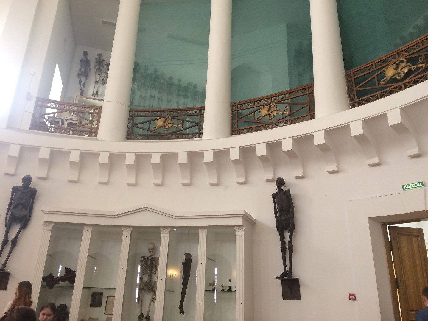 Anatomical theatre, Kazan (3).jpg